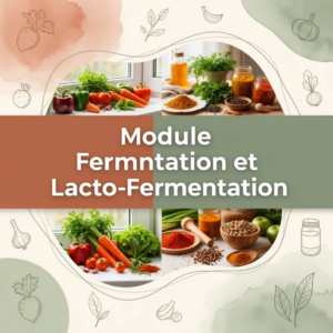 Module Fermentation et Lacto-Fermentation